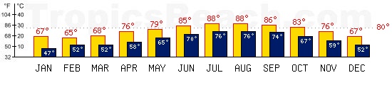 Tel Aviv, ISRAEL temperatures. A minimum temperature of 81F C is recommended for the beach!