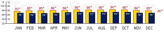 Willemstad, CURACAO temperatures. A minimum temperature of 81°F C is recommended for the beach!