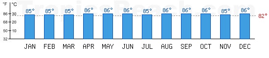 Mer de Sulu bathing temperature at Cebu, PHILIPPINES. +79C is ideal for the beach!