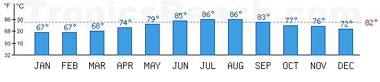 Red Sea bathing temperature at Sharm El Sheikh, EGYPT. +79C is ideal for the beach!